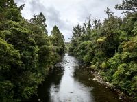An der Waipouabrücke im Norden der Nordhalbinsel Neuseelands