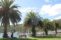 Ankunft in Picton