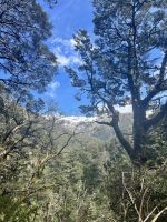 Arthur‘s Pass