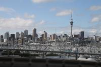 Auckland - Stadtrundfahrt