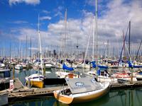 Auckland 