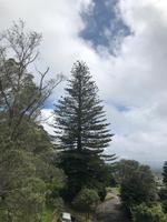 Auckland Neuseeland 