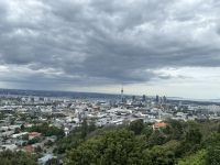 Auckland