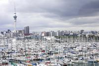 Auckland
