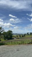 Ausblick vor dem Kauri Museum