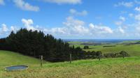 Ausblick