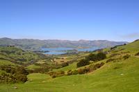 Banks-Halbinsel - Blick nach Akaroa