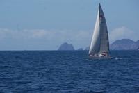 Bay of Islands