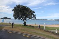 Bay of Islands