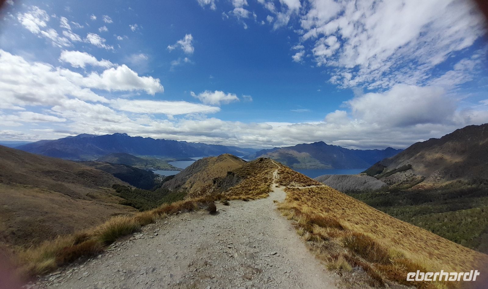 Ben Lomond Track