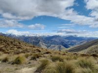 Ben Lomond Track