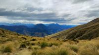 Ben Lomond Track