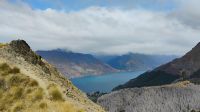 Ben Lomond Track