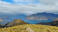 Ben Lomond Track