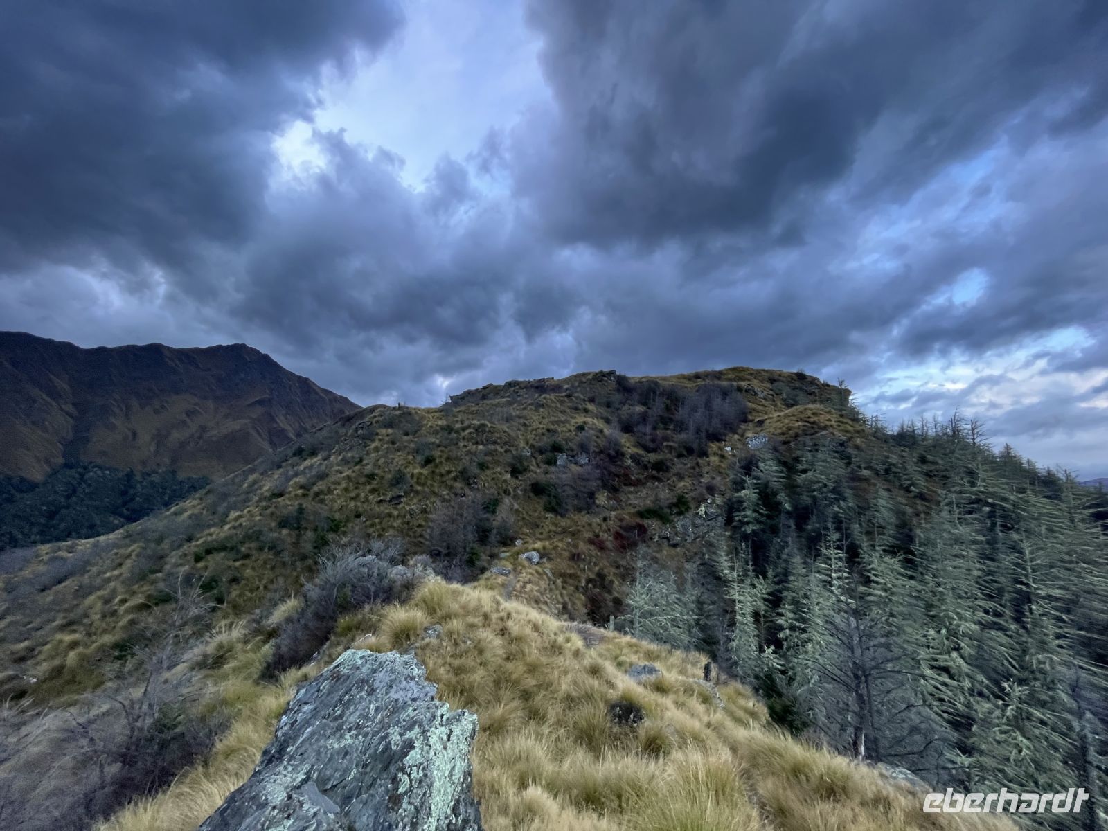 Ben Lomond Wanderweg