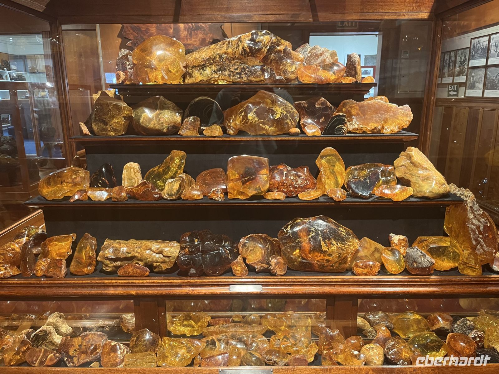 Bernstein im Kauri Museum