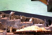 Besuch des Agrodome