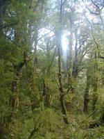 Besuch im Regenwald