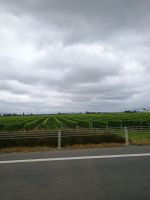 Blenheim