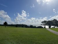 Blick auf Auckland 