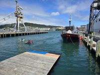 Blick auf Lambton Hafen