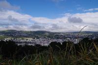 Blick auf Wellington