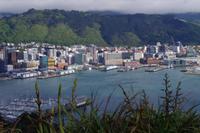 Blick auf Wellington