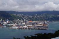 Blick auf Wellington