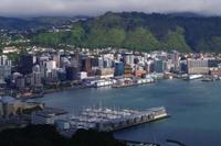 Blick auf Wellington