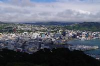 Blick auf Wellington