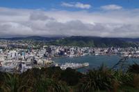 Blick auf Wellington