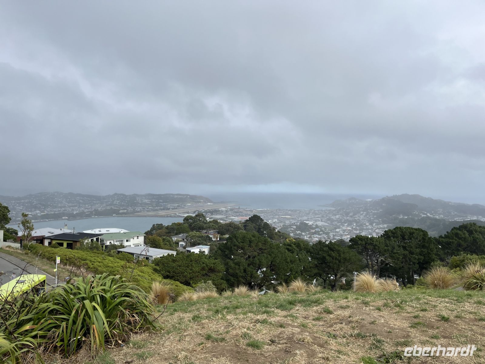Blick auf das vernebelte Wellington 