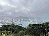 Blick auf das vernebelte Wellington 