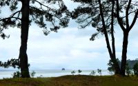 Blick auf den Cooks-Beach