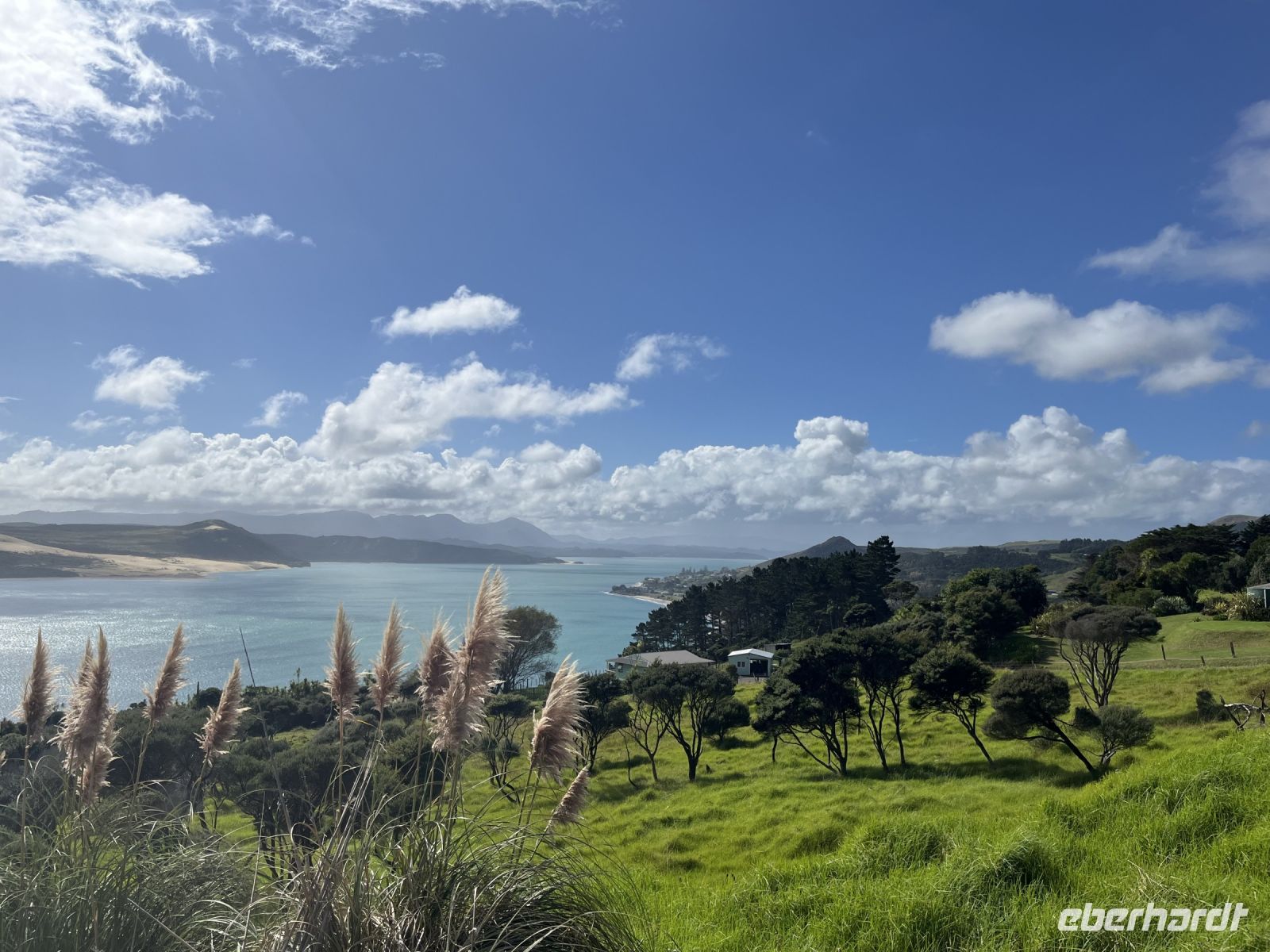 Blick auf die Bucht von Hokianga