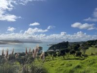 Blick auf die Bucht von Hokianga