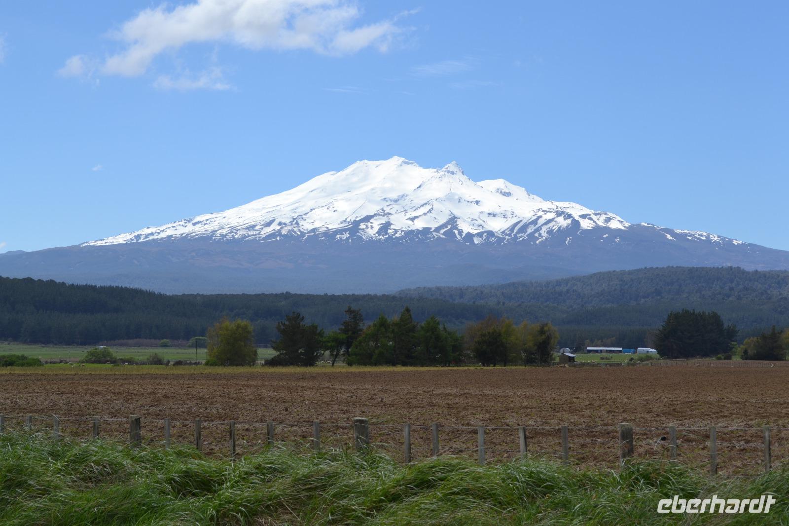 Blick zum Vulkan Mount Ruapehu