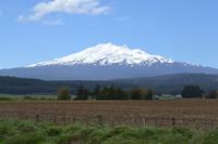 Blick zum Vulkan Mount Ruapehu