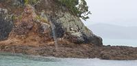 Bootstour ab Paihia Neuseeland 