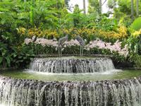 Botanischer Garten in Singapur