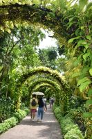 Botanischer Garten