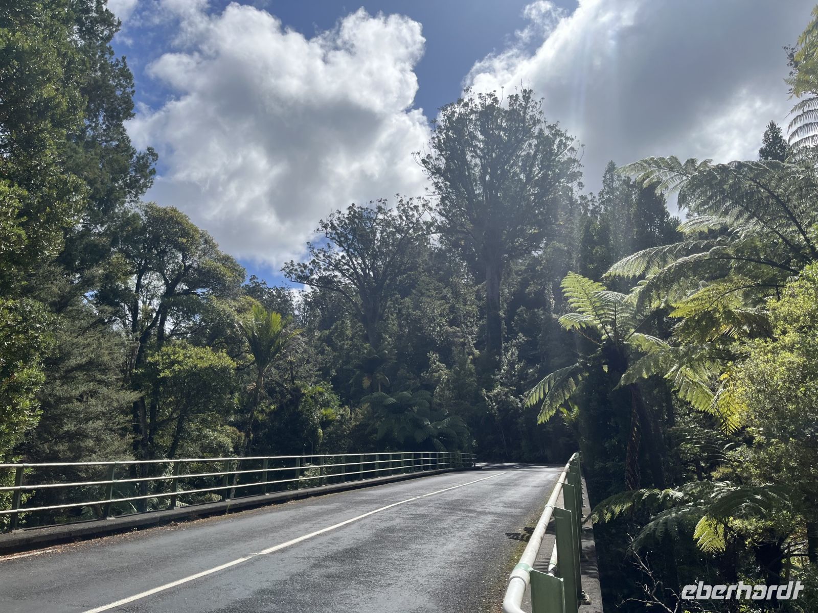 Brücke über den Waipoua River