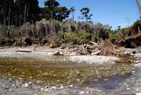 Bruce Bay (3)