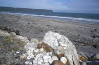Bruce Bay