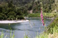 Buller Schlucht