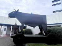 Bulls (2)