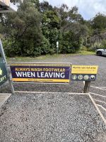 Bush Walk