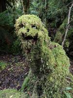 Bushwalk