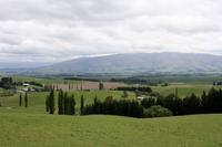 Canterbury Plains