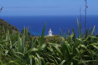 Cap Reinga